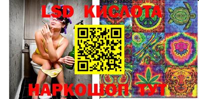 ГАЛЛЮЦИНОГЕННЫЕ ГРИБЫ Краснознаменск