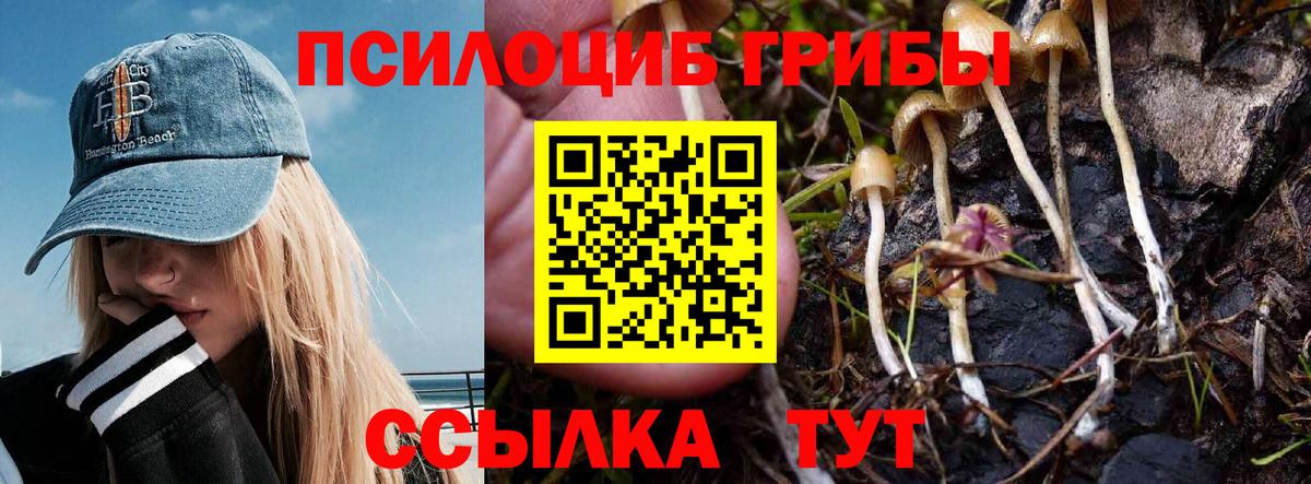 Конаково  Псилоцибиновые грибы Psilocybine cubensis  Вход с VPN 